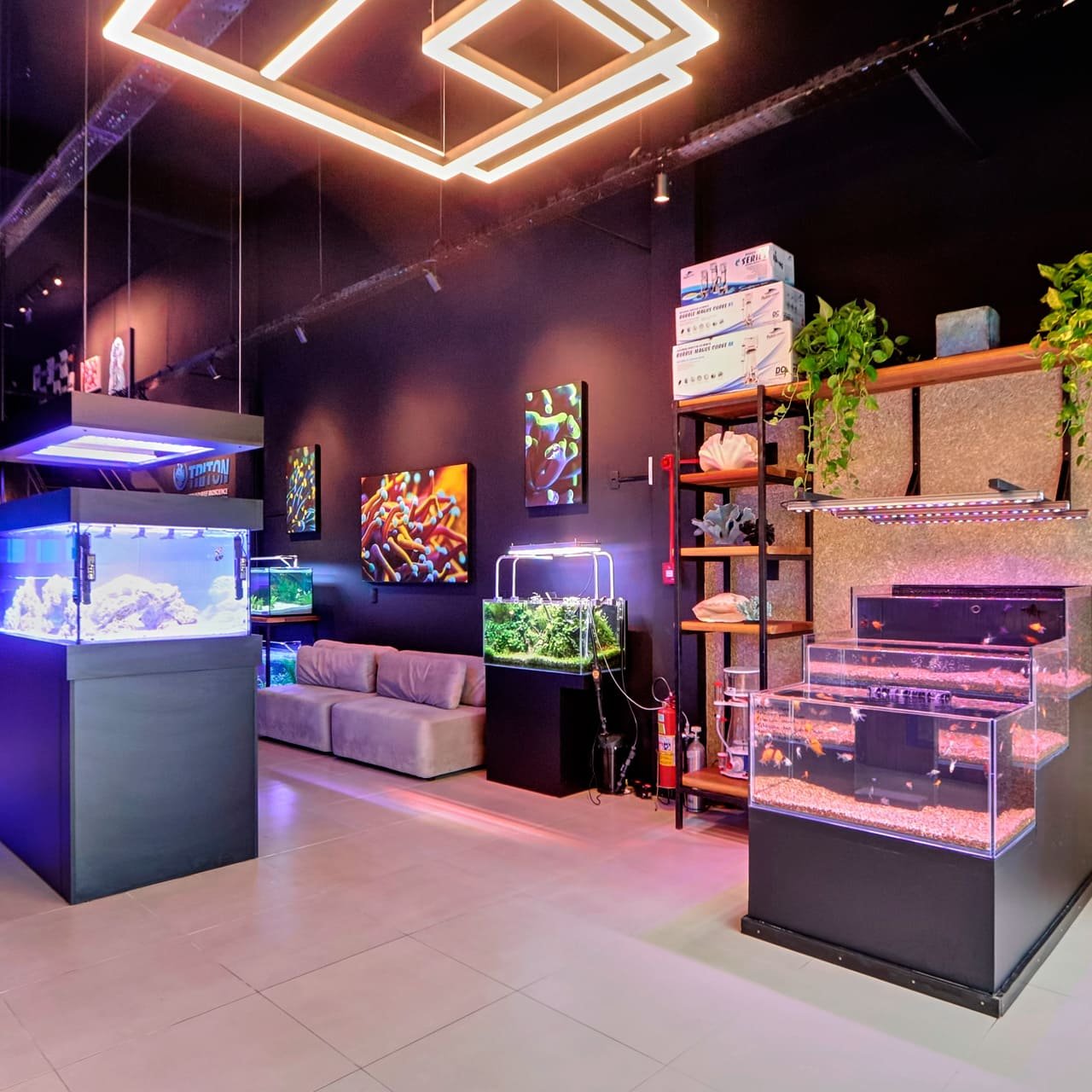 Foto 3 da loja Bah! Aquarismo em Porto Alegre