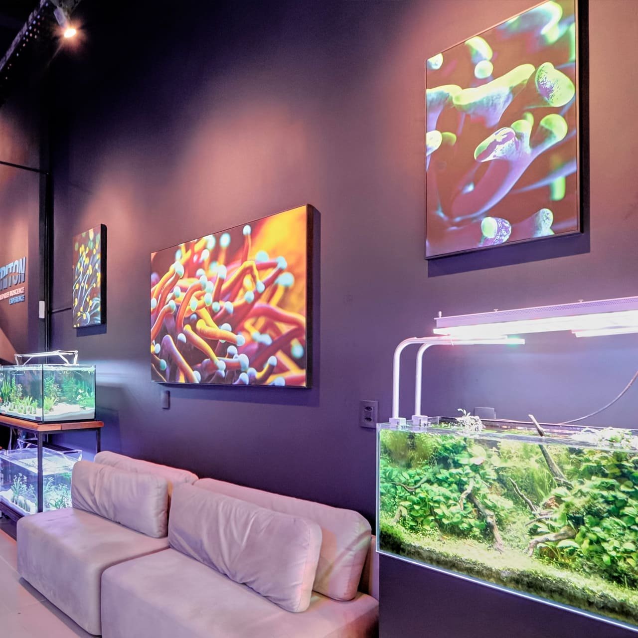 Foto 5 da loja Bah! Aquarismo em Porto Alegre