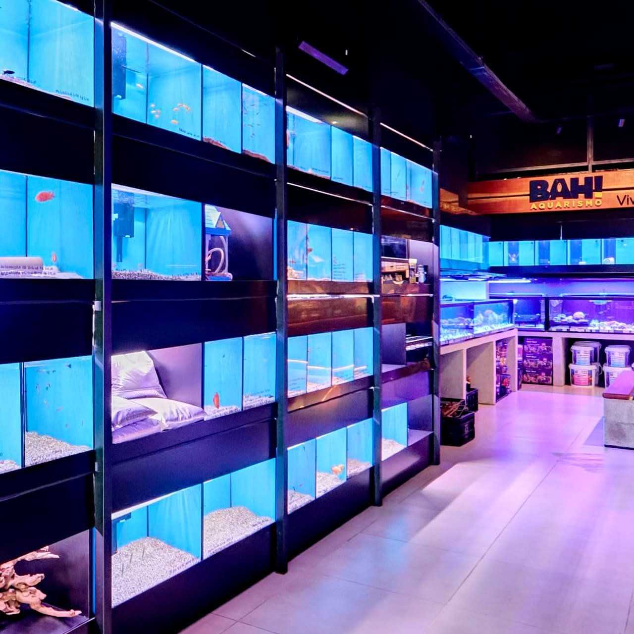 Foto 7 da loja Bah! Aquarismo em Porto Alegre