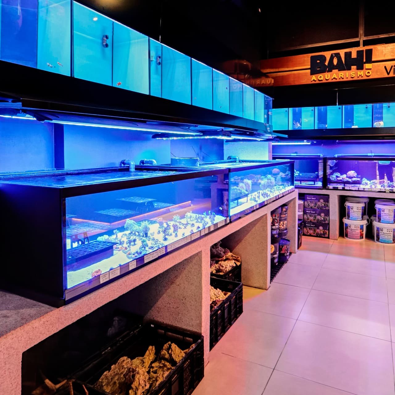 Foto 9 da loja Bah! Aquarismo em Porto Alegre