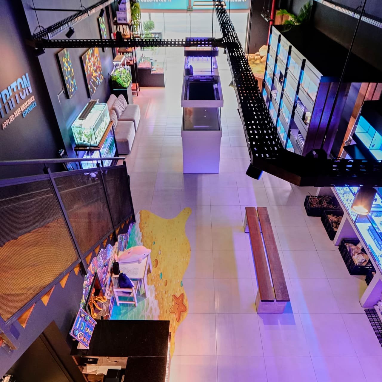 Foto 11 da loja Bah! Aquarismo em Porto Alegre