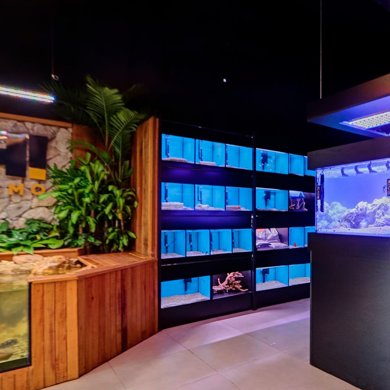 Foto 15 da loja Bah! Aquarismo em Porto Alegre