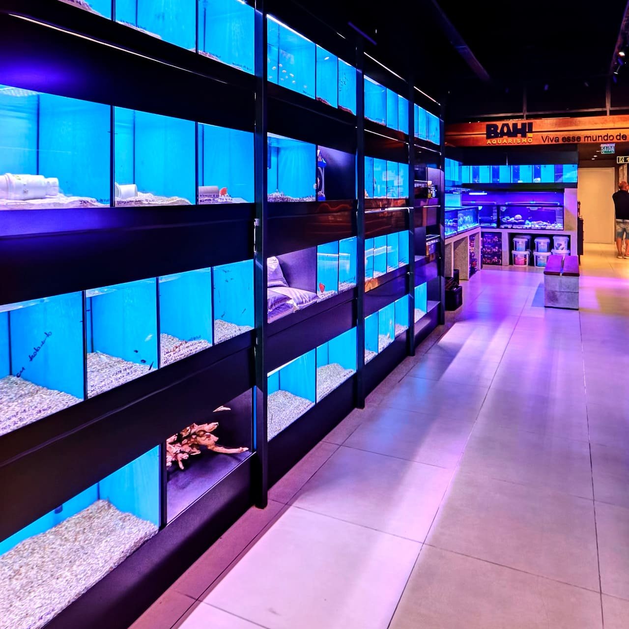 Foto 16 da loja Bah! Aquarismo em Porto Alegre