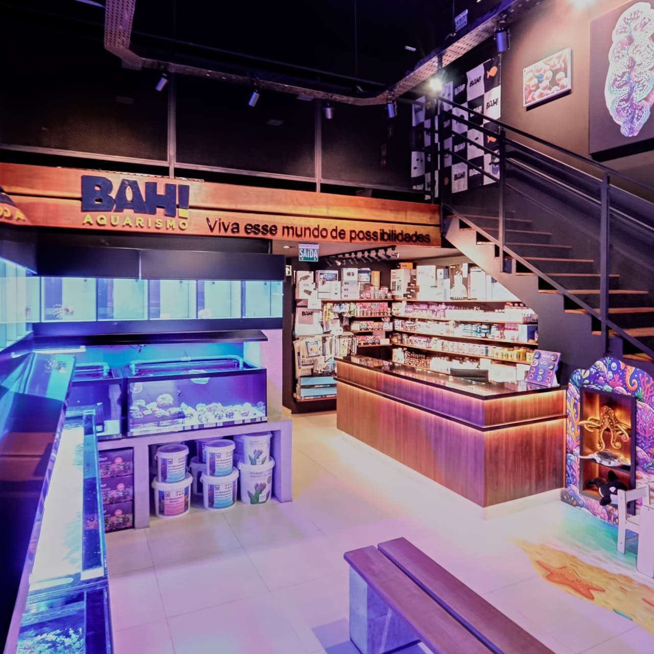 Foto 21 da loja Bah! Aquarismo em Porto Alegre